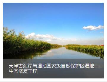 天津古海岸与湿地国家级自然保护区湿地生态修复工程