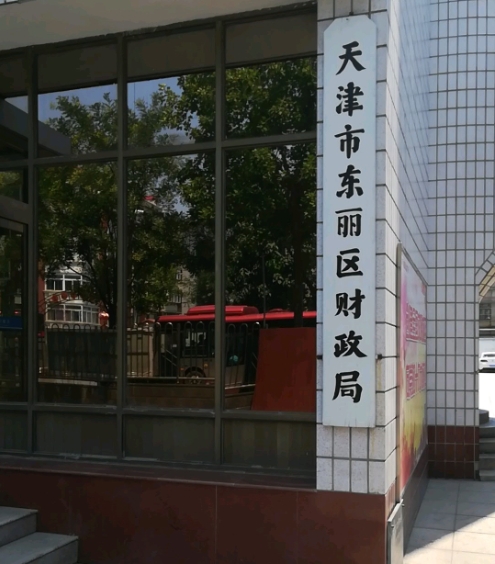 天津市东丽区2025年财政投资项目评审服务合同